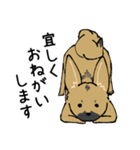 雑種犬のクロハナ（個別スタンプ：4）