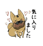 雑種犬のクロハナ（個別スタンプ：8）