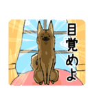雑種犬のクロハナ（個別スタンプ：11）