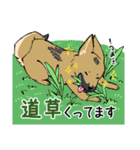雑種犬のクロハナ（個別スタンプ：12）