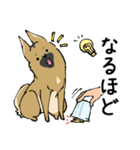 雑種犬のクロハナ（個別スタンプ：13）