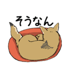雑種犬のクロハナ（個別スタンプ：14）