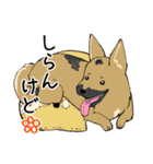 雑種犬のクロハナ（個別スタンプ：15）