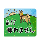雑種犬のクロハナ（個別スタンプ：16）