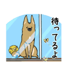 雑種犬のクロハナ（個別スタンプ：17）