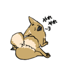 雑種犬のクロハナ（個別スタンプ：18）