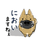 雑種犬のクロハナ（個別スタンプ：20）
