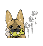 雑種犬のクロハナ（個別スタンプ：22）
