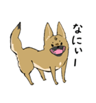 雑種犬のクロハナ（個別スタンプ：24）