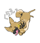 雑種犬のクロハナ（個別スタンプ：26）
