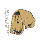 雑種犬のクロハナ（個別スタンプ：27）