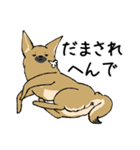 雑種犬のクロハナ（個別スタンプ：28）