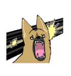 雑種犬のクロハナ（個別スタンプ：29）