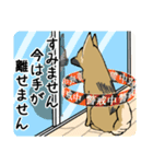 雑種犬のクロハナ（個別スタンプ：30）