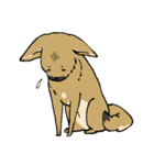 雑種犬のクロハナ（個別スタンプ：31）