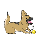 雑種犬のクロハナ（個別スタンプ：34）