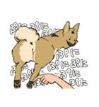 雑種犬のクロハナ（個別スタンプ：36）