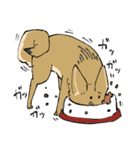 雑種犬のクロハナ（個別スタンプ：37）