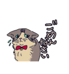 ねこ 銀の日常（個別スタンプ：5）