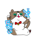 ねこ 銀の日常（個別スタンプ：9）
