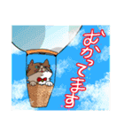ねこ 銀の日常（個別スタンプ：13）
