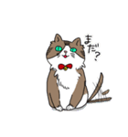 ねこ 銀の日常（個別スタンプ：14）