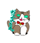 ねこ 銀の日常（個別スタンプ：16）