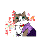 ねこ 銀の日常（個別スタンプ：21）