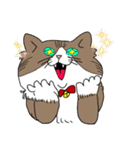 ねこ 銀の日常（個別スタンプ：22）