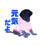 それゆけ！バジル（個別スタンプ：2）