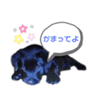 それゆけ！バジル（個別スタンプ：19）