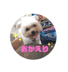 ごきげんらんちゃん（個別スタンプ：7）