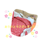 トラチワちゃん♡♡♡♡♡♡（個別スタンプ：4）