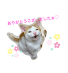 トラチワちゃん♡♡♡♡♡♡（個別スタンプ：5）