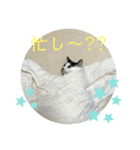 トラチワちゃん♡♡♡♡♡♡（個別スタンプ：7）