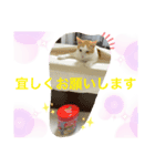 トラチワちゃん♡♡♡♡♡♡（個別スタンプ：8）