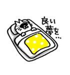 わりとふつうのねこ（個別スタンプ：20）