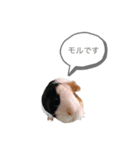 どうぶつのひとこと（個別スタンプ：8）