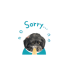 ミックス犬のチロルchan（個別スタンプ：7）