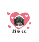ミックス犬のチロルchan（個別スタンプ：9）