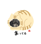 ミックス犬のチロルchan（個別スタンプ：13）