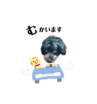 ミックス犬のチロルchan（個別スタンプ：16）