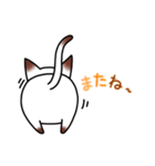 シャムキャツ猫1（個別スタンプ：8）