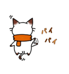 シャムキャツ猫1（個別スタンプ：9）