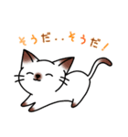 シャムキャツ猫1（個別スタンプ：11）
