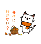 シャムキャツ猫1（個別スタンプ：13）