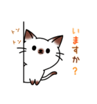 シャムキャツ猫1（個別スタンプ：15）