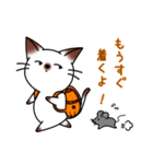 シャムキャツ猫1（個別スタンプ：17）