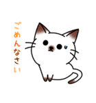 シャムキャツ猫1（個別スタンプ：23）