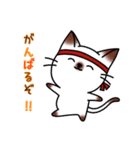 シャムキャツ猫1（個別スタンプ：33）